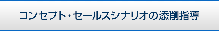 コンセプト・セールスシナリオの添削指導