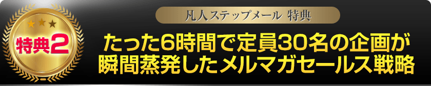 特典2:たった6時間で定員30名の企画が瞬間蒸発したメルマガセールス戦略