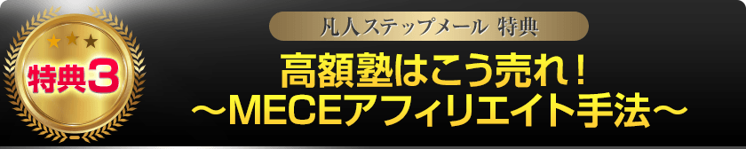 特典3:高額塾はこう売れ!~MECEアフィリエイト手法~