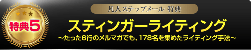 特典5:スティンガーライティング 〜たった6行のメルマガでも、178名を集めたライティング手法~